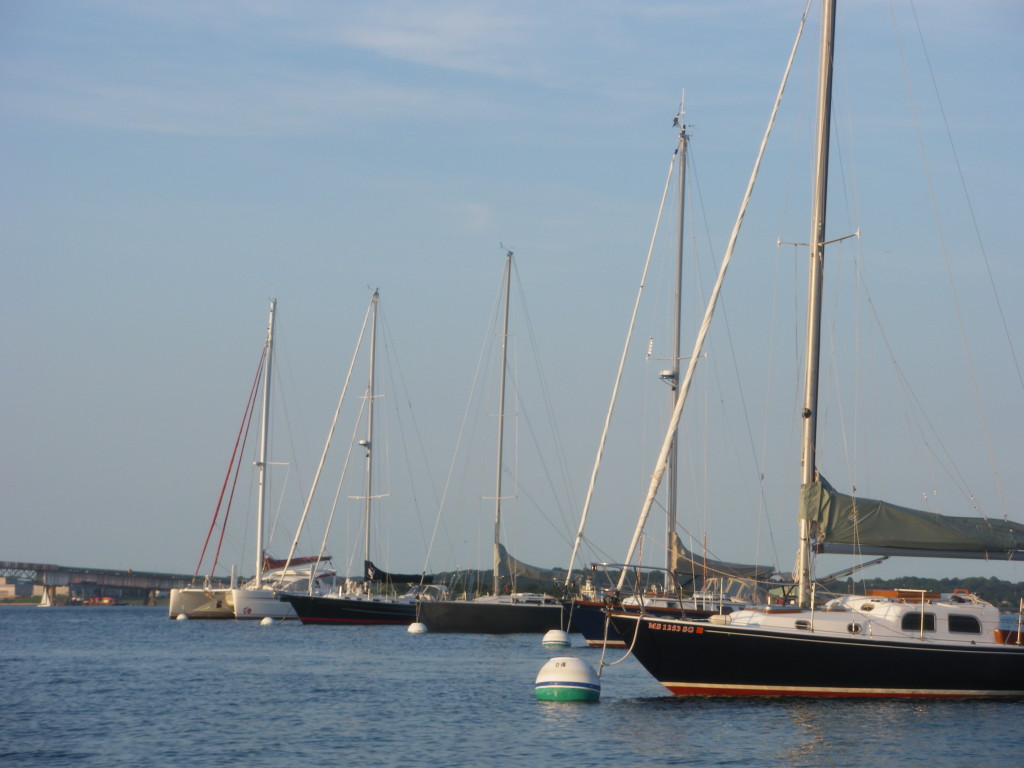 IMGP1237